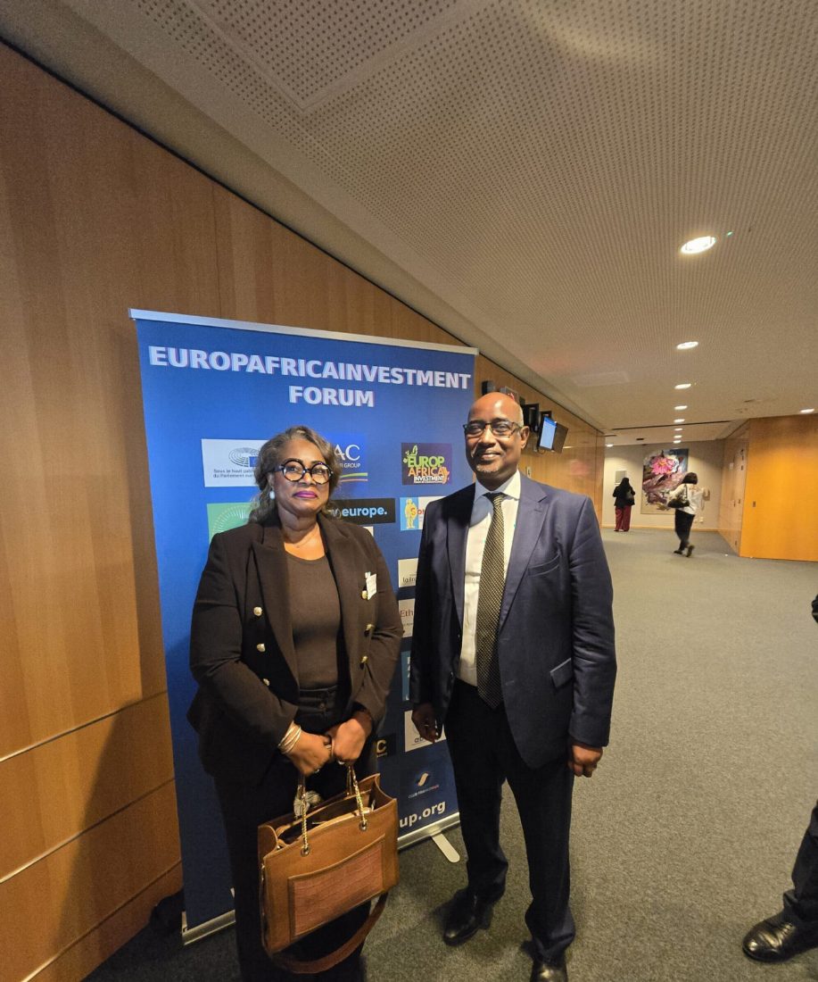 Dr Flavie LOMBO devant le kakémono officiel de l'EuropaAfrica Investment Forum, Parlement européen